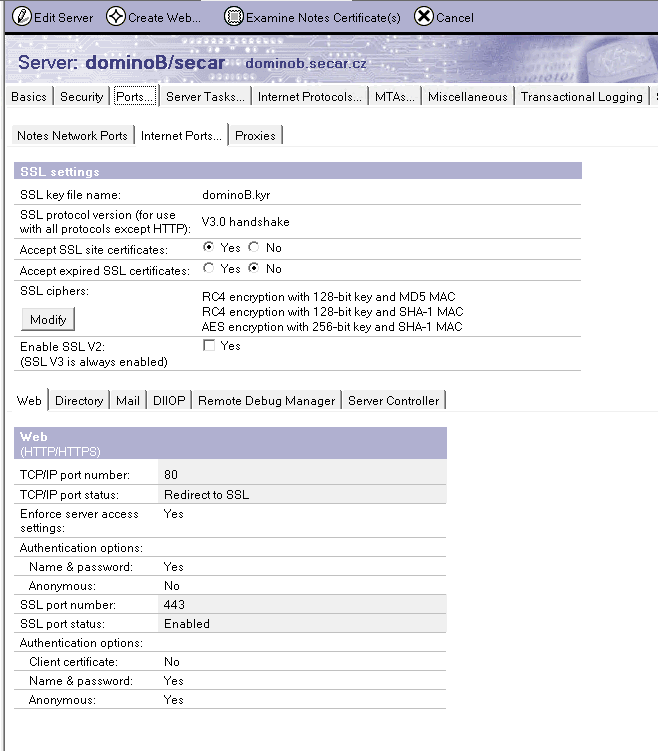 Screen capture of SSL settings in Server document