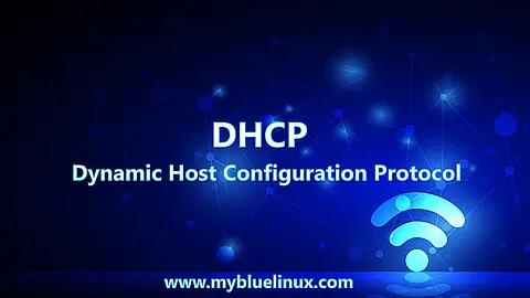 DHCP Basics