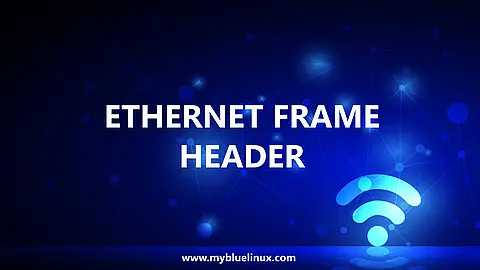 Ethernet Frame Header