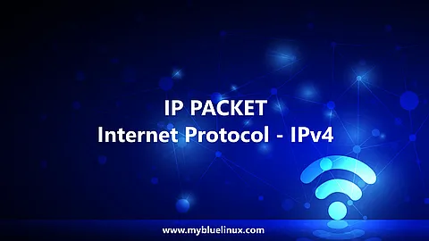 IP Packet Structure