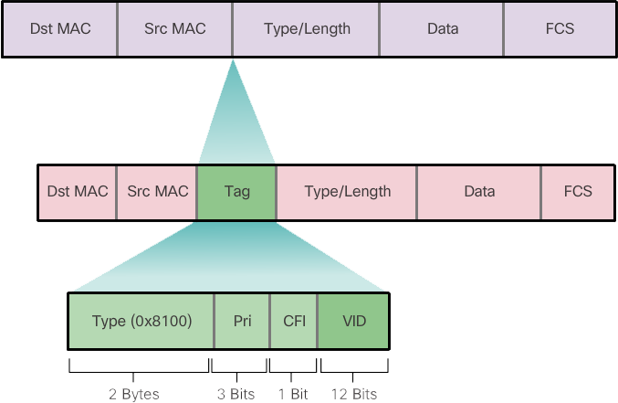 Fields in an Ethernet 802.1Q frame
