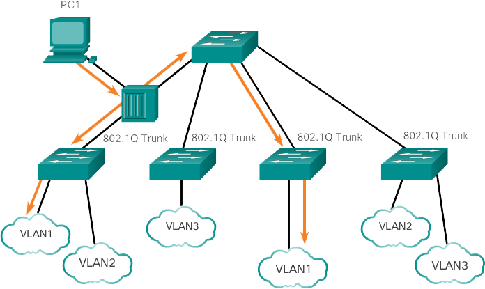native vlans and 802.1q tagging